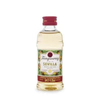 MINI GIN TANQUERAY SEVILLA 50 ML
