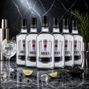 Gin Rocks Seco 1L
