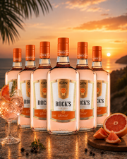 Gin Rocks Sunset 1L