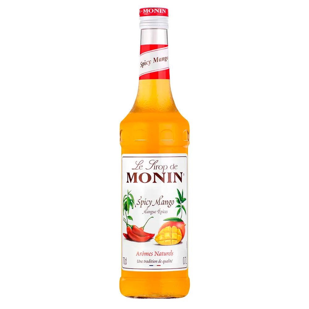 XAROPE MONIN SPICY  700 ML